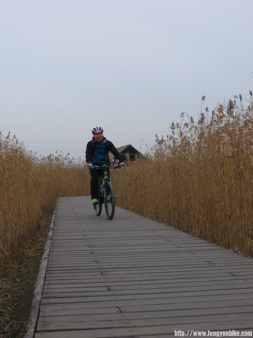 照片 3115_conew1.jpg