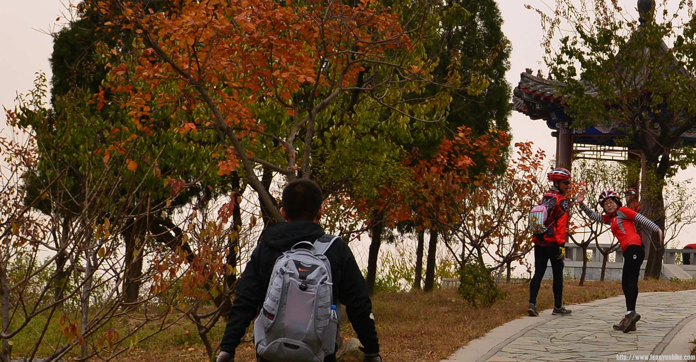 DSC_4020_副本 (1).jpg