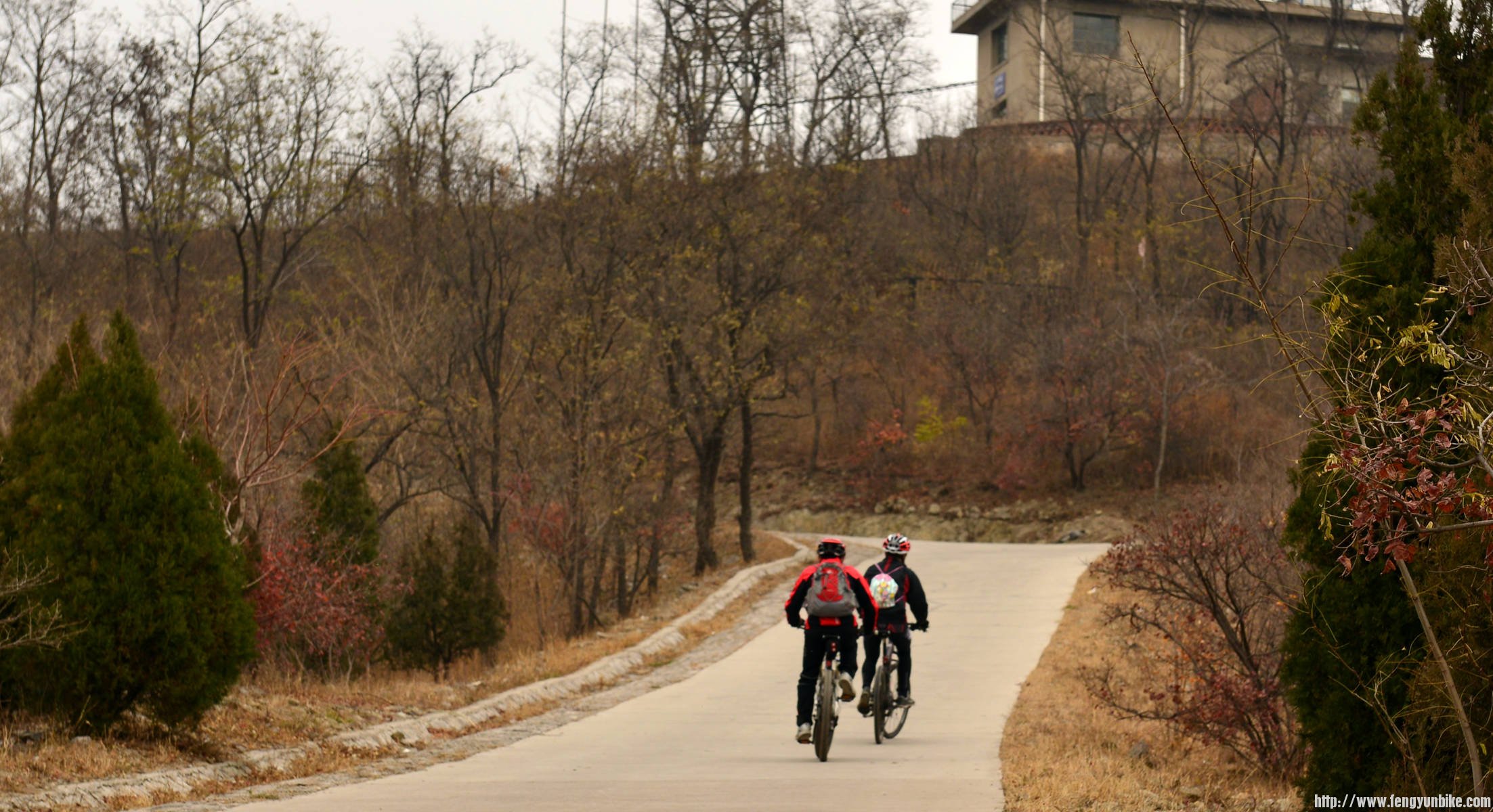 DSC_4034_副本 (1).jpg