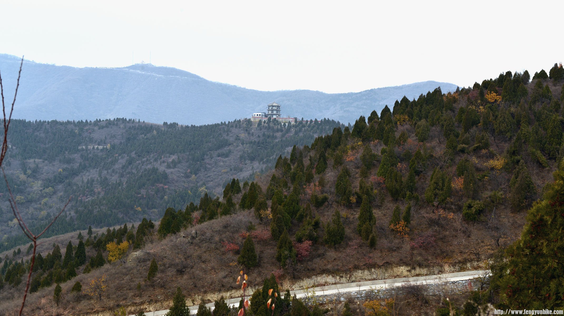 DSC_4063_副本 (1).jpg