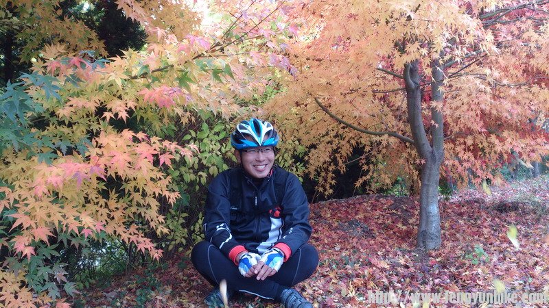 柚子。租车就找他。