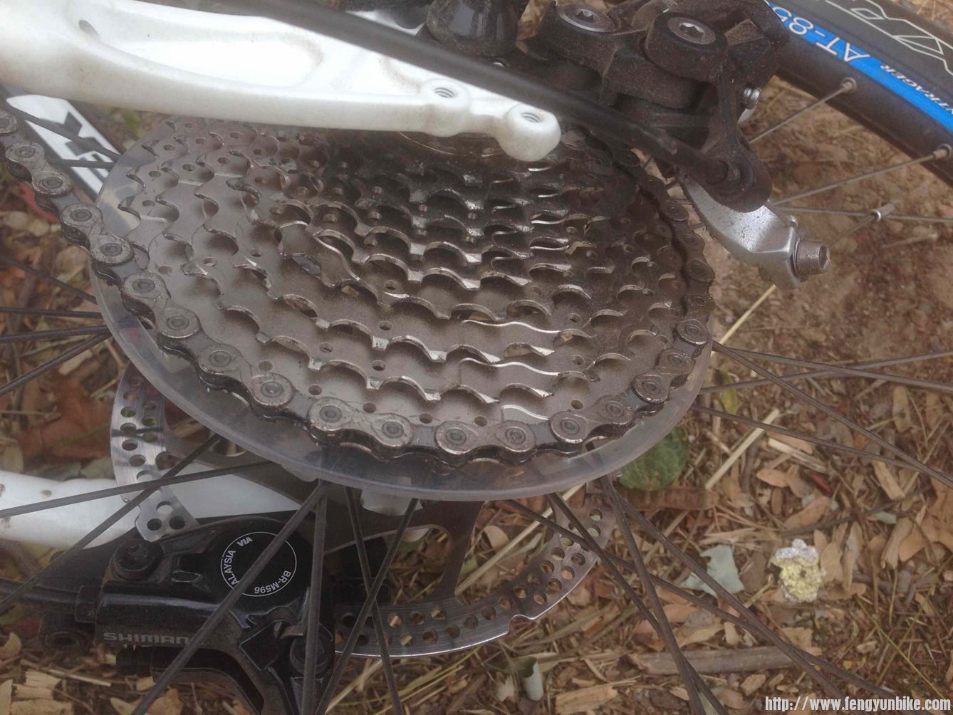 后轮太太太小了