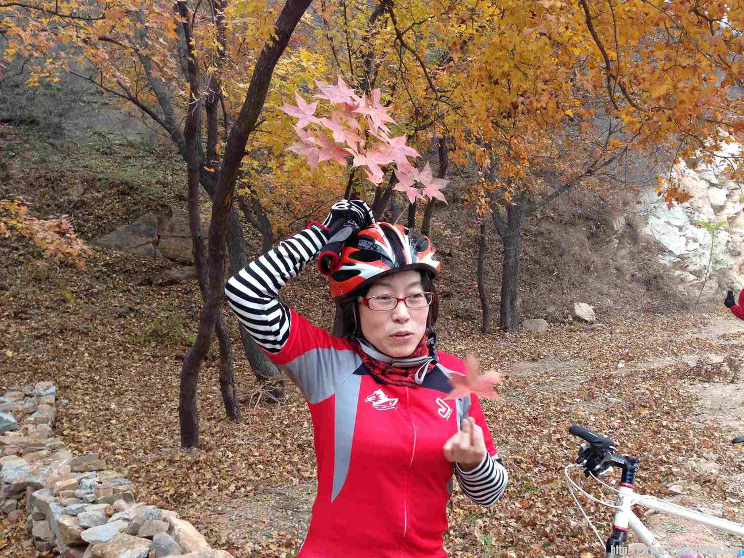 传说中的仙草吗