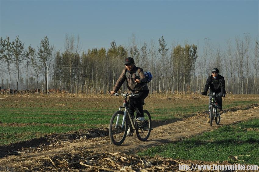 骑行在田野上
