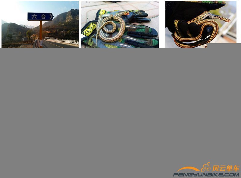 1383903888104 -1184312100.jpg