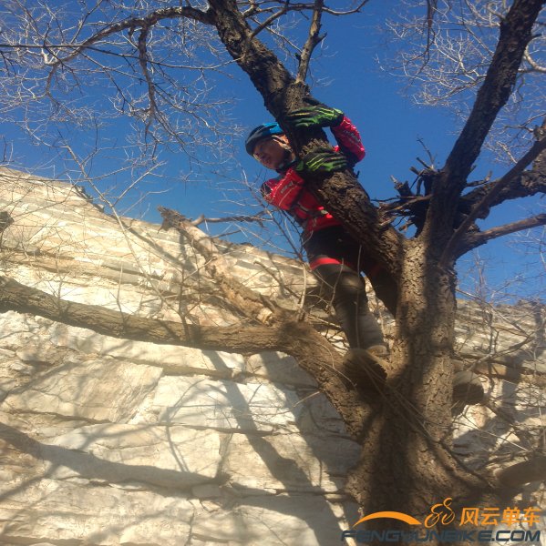 雪天爬树上长城