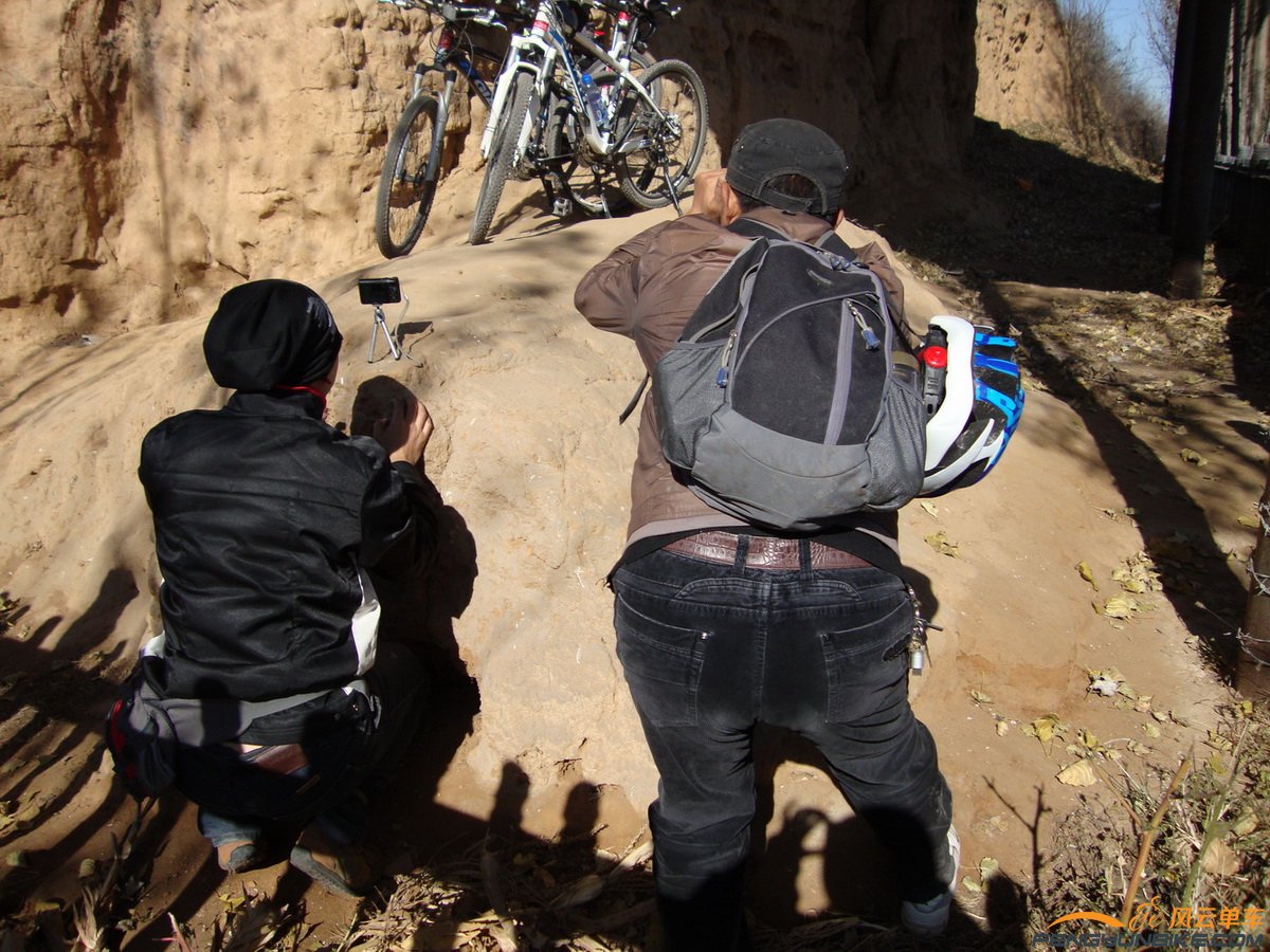 居士也是如此专业