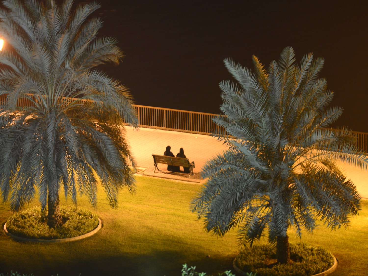 DSC_7501 - 副本.JPG