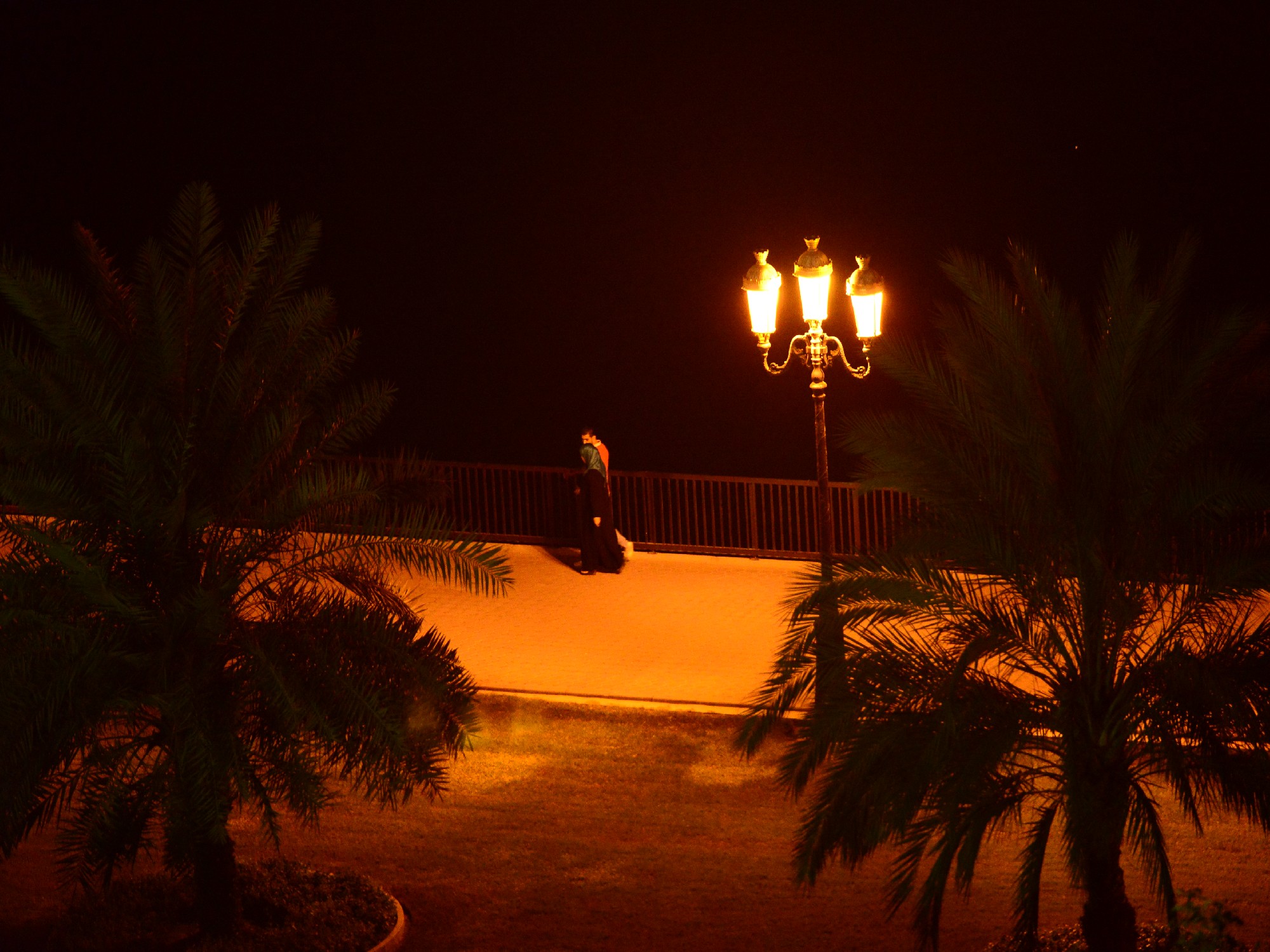 DSC_7555 - 副本.JPG