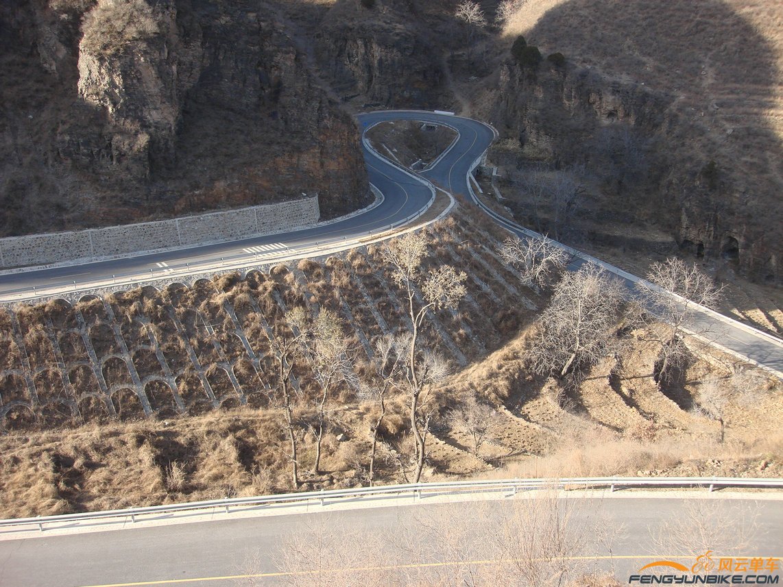 看见欧米伽了吧