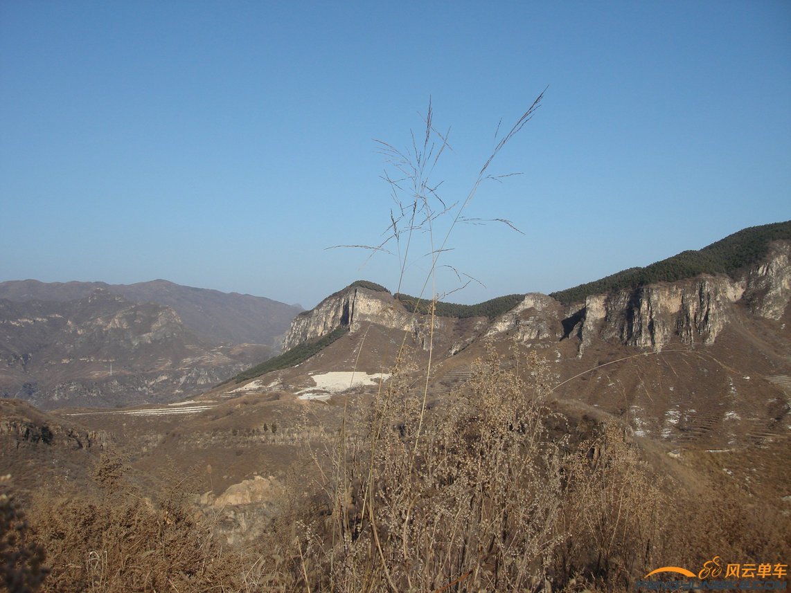 为了证明没风，照了一颗最细小的小草自然展示在那里