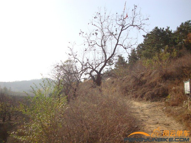 DSC07353 [原始大小].jpg