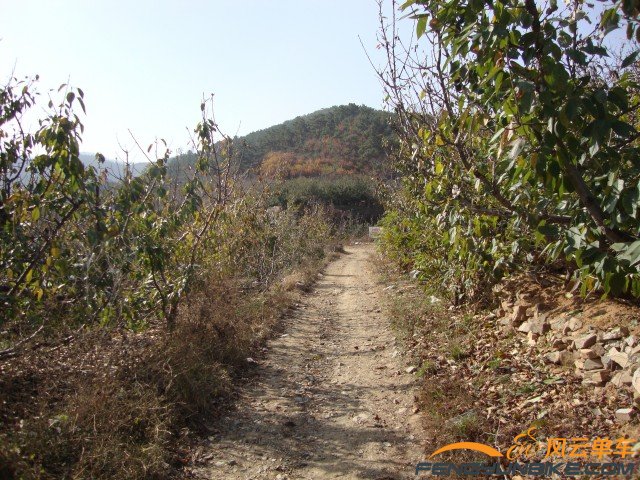 DSC07350 [原始大小].jpg