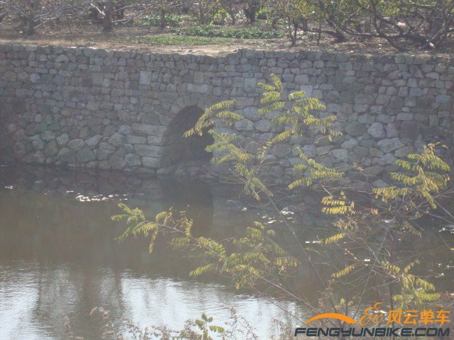 DSC07352 [原始大小].jpg