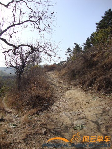 DSC07355 [原始大小].jpg