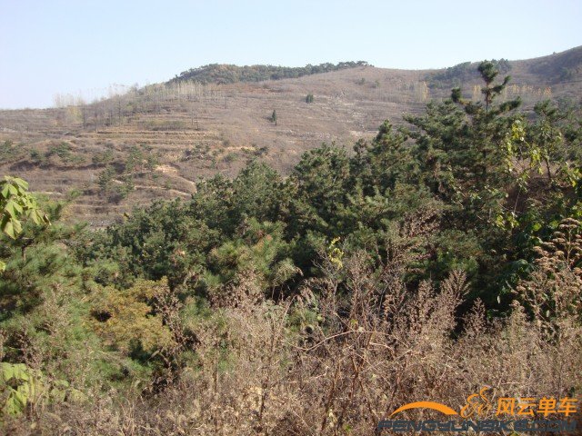 DSC07362 [原始大小].jpg