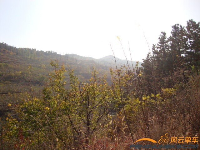 DSC07357 [原始大小].jpg