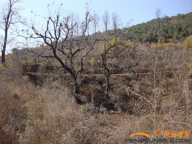 DSC07359 [原始大小].jpg