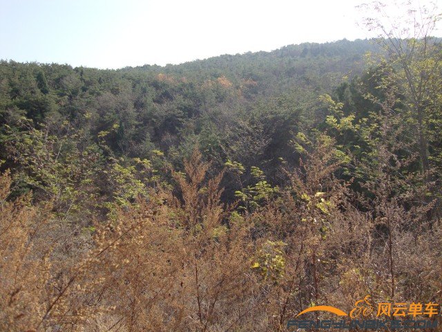 DSC07376 [原始大小].jpg