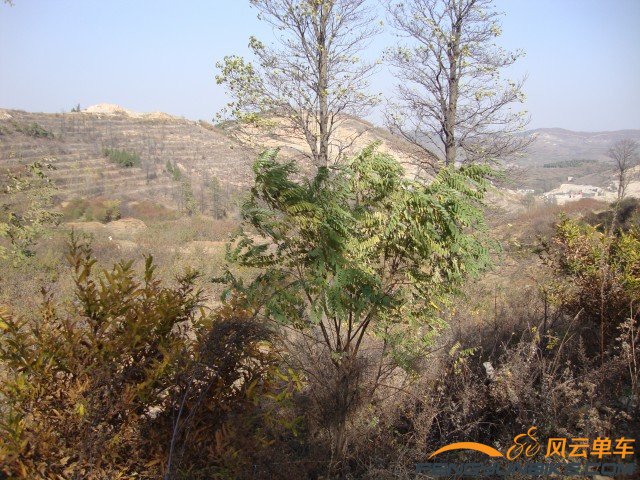 DSC07370 [原始大小].jpg