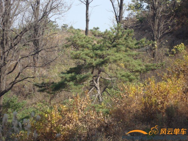 DSC07371 [原始大小].jpg