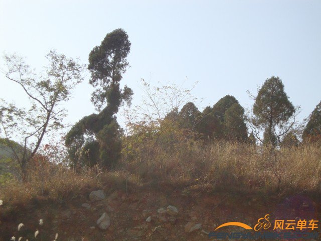 DSC07374 [原始大小].jpg