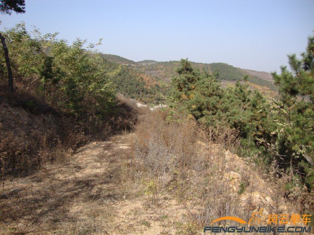 DSC07360 [原始大小].jpg