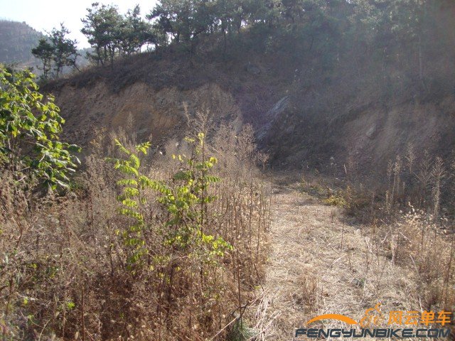 DSC07363 [原始大小].jpg