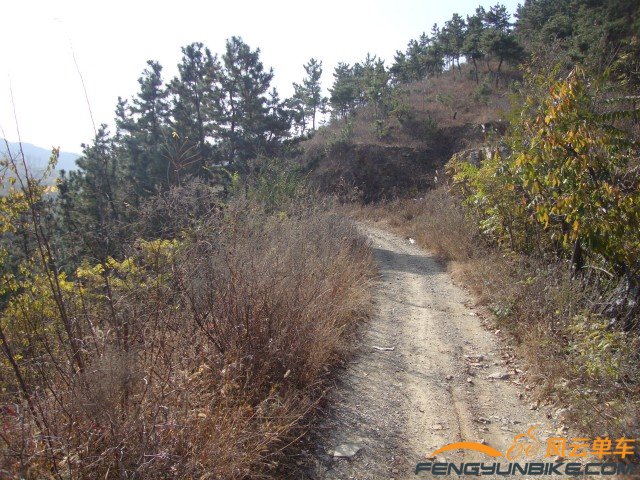 DSC07358 [原始大小].jpg