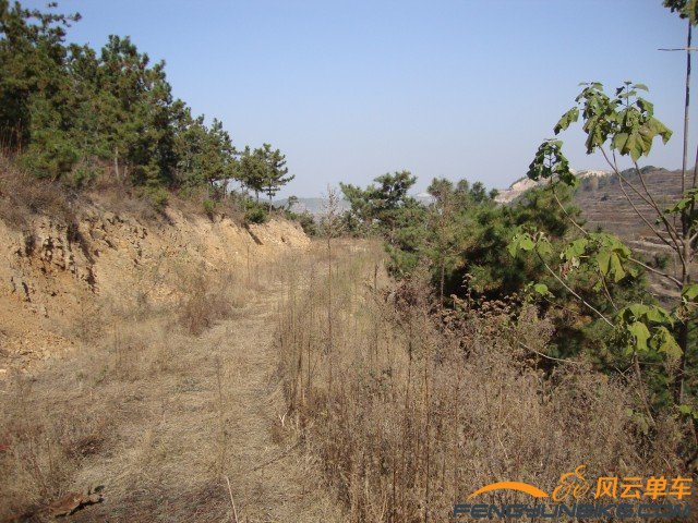 DSC07364 [原始大小].jpg