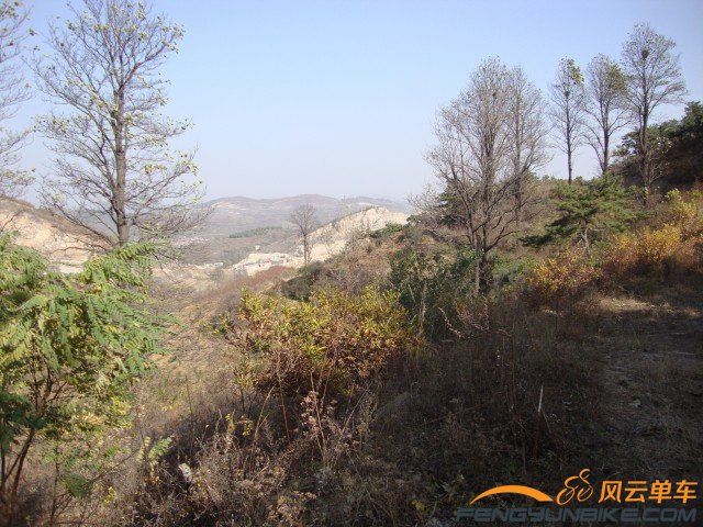 DSC07368 [原始大小].jpg