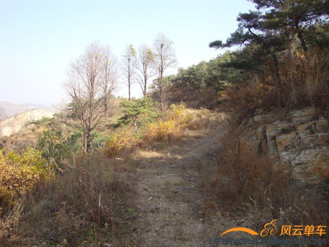 DSC07369 [原始大小].jpg