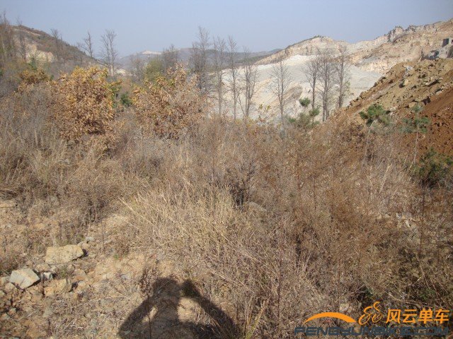 DSC07378 [原始大小].jpg