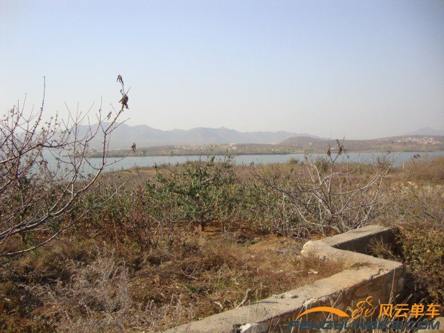 DSC07391 [原始大小].jpg