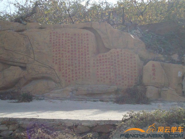 DSC07394 [原始大小].jpg