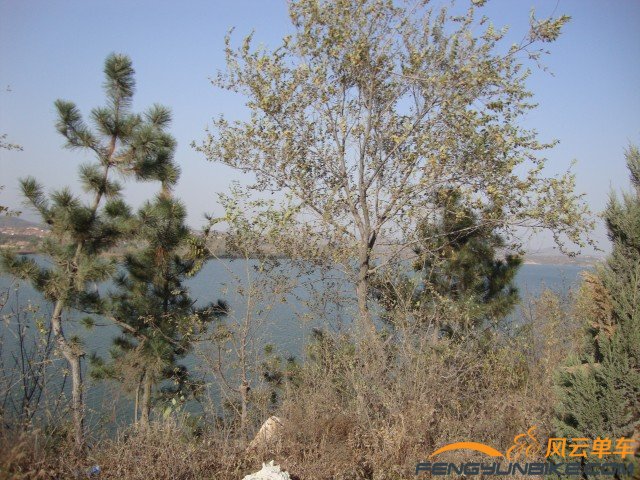 DSC07398 [原始大小].jpg