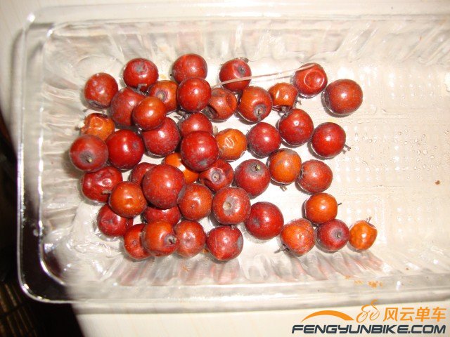 DSC07410 [原始大小].jpg