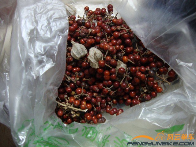 DSC07411 [原始大小].jpg