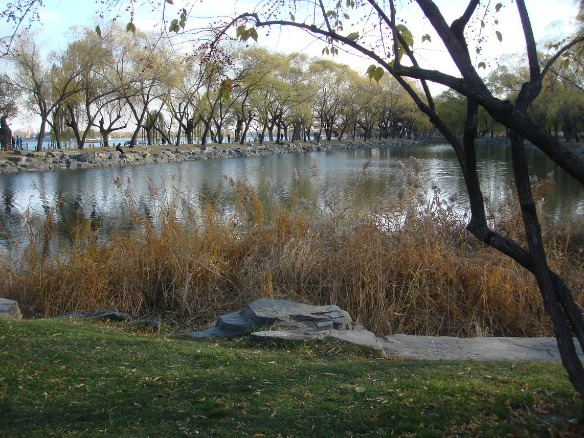 同一个景色亮多了