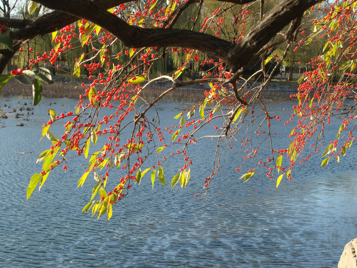 感觉到刚柔并济了么