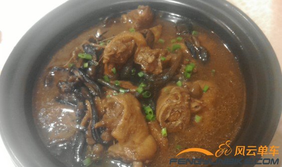 公鸡下蛋下蛋公鸡欧耶