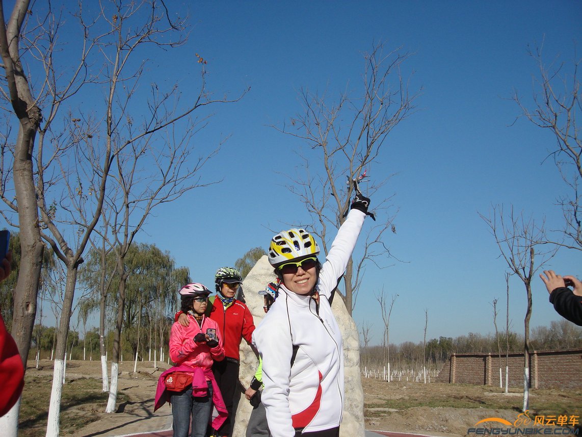 玫瑰一伸手差点吧飞机戳下来