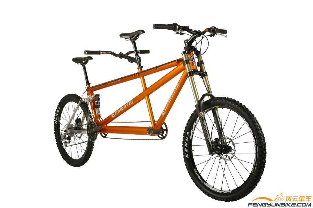 ellsworth witness large.jpg