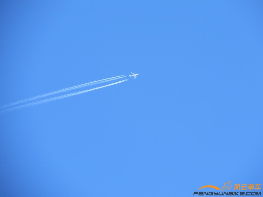 照片 3201_conew1.jpg