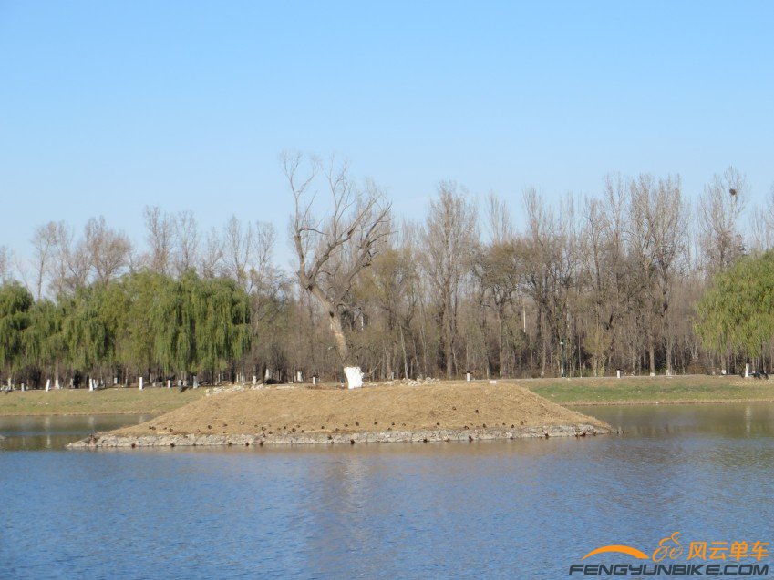 照片 3205_conew1.jpg