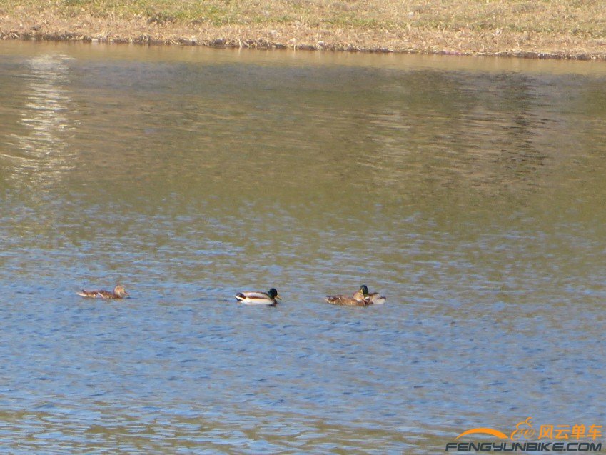 照片 3227_conew1.jpg