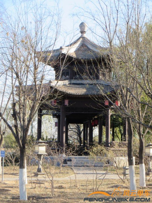 照片 3229_conew1.jpg