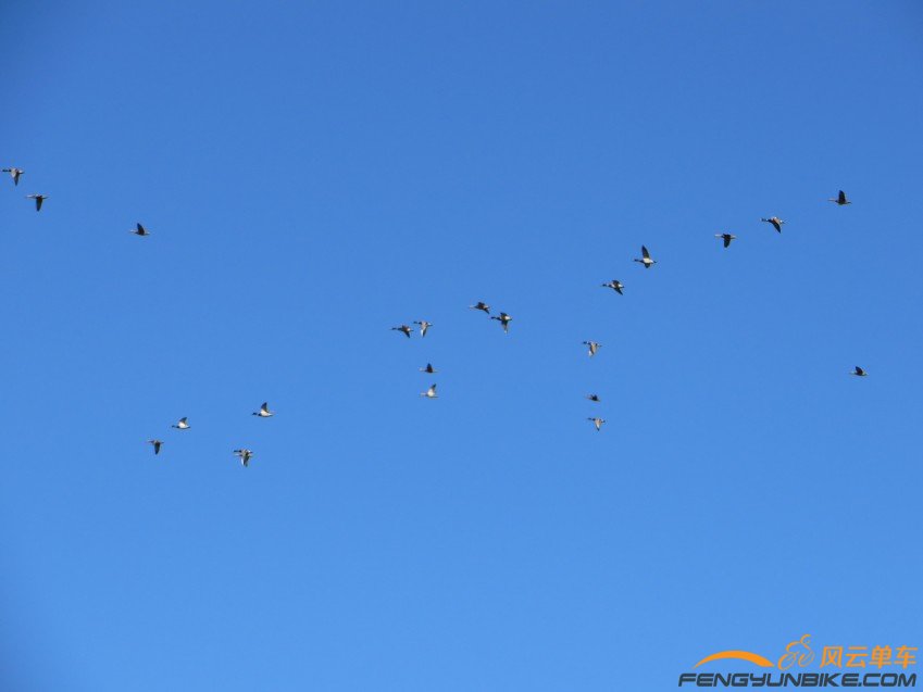 照片 3231_conew1.jpg