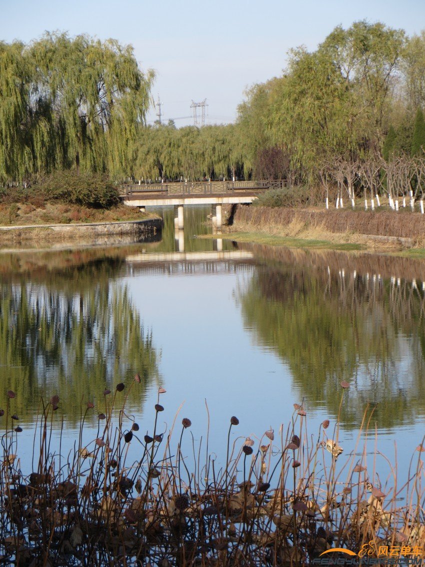 照片 3284_conew1.jpg