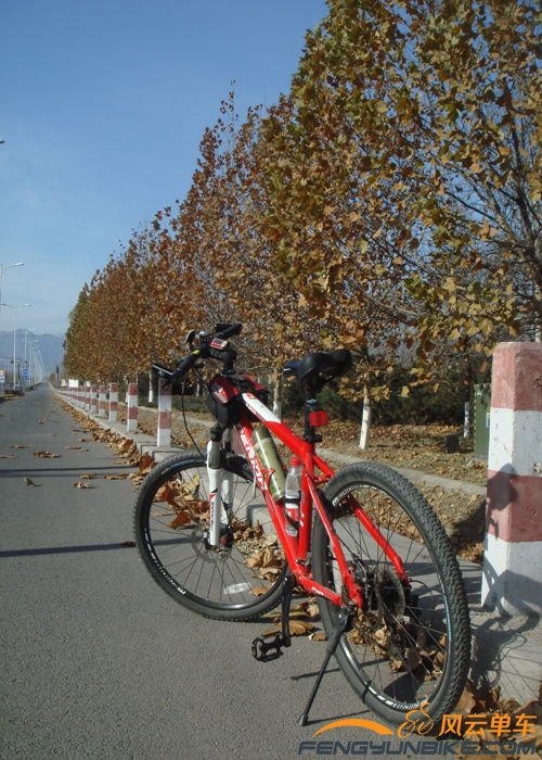 给车子再照一张